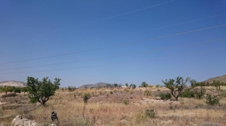 Alicante - Hondón de las Nieves - 10000m2