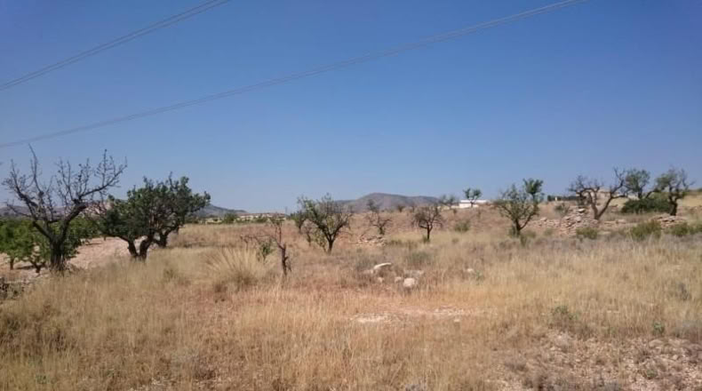 Alicante - Hondón de las Nieves - 10000m2