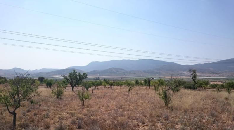 Alicante - Hondón de las Nieves - 10000m2