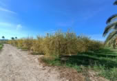 Terreny no urbanitzable en venda a la España, Sant Vicent del Raspeig, ref.: TR163555 foto