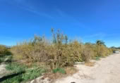 Terreny no urbanitzable en venda a la España, Sant Vicent del Raspeig, ref.: TR163555 foto