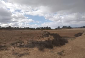 Jumella 26000&nbsp;m² 
