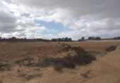 Non-developable land for sale on España, Jumilla, ref: TR320168 photo