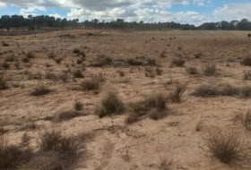 Jumella 26000&nbsp;m² 