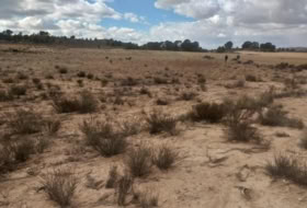Jumella 26000&nbsp;m² 