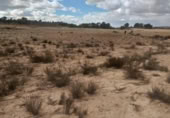 Non-developable land for sale on España, Jumilla, ref: TR320168 photo