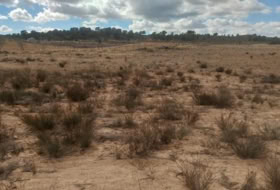 Jumella 26000&nbsp;m² 
