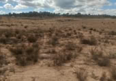 Non-developable land for sale on España, Jumilla, ref: TR320168 photo