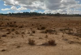 Jumella 26000&nbsp;m² 