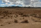 Non-developable land for sale on España, Jumilla, ref: TR320168 photo