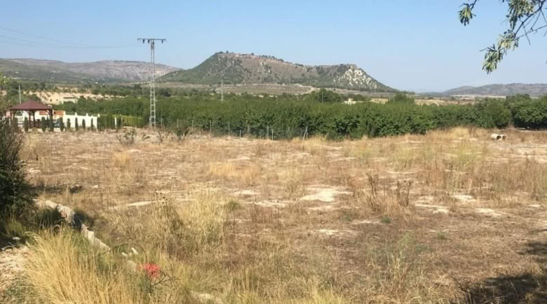 Murcia - Moratalla - 4471m2