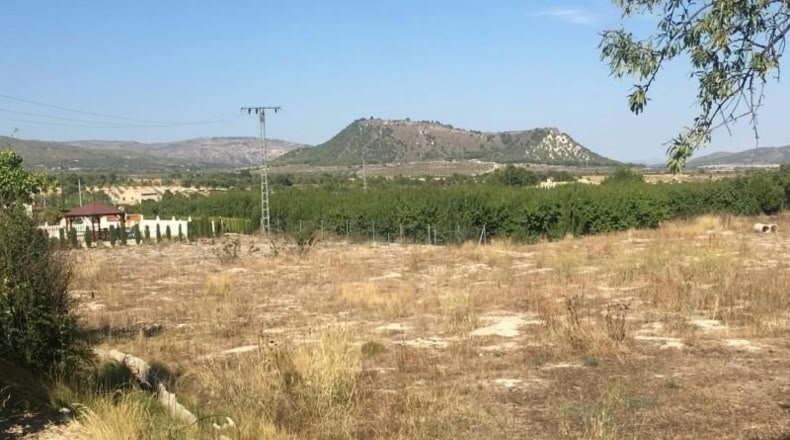 Murcia - Moratalla - 4471m2