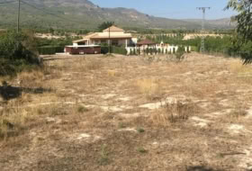 Foto 9