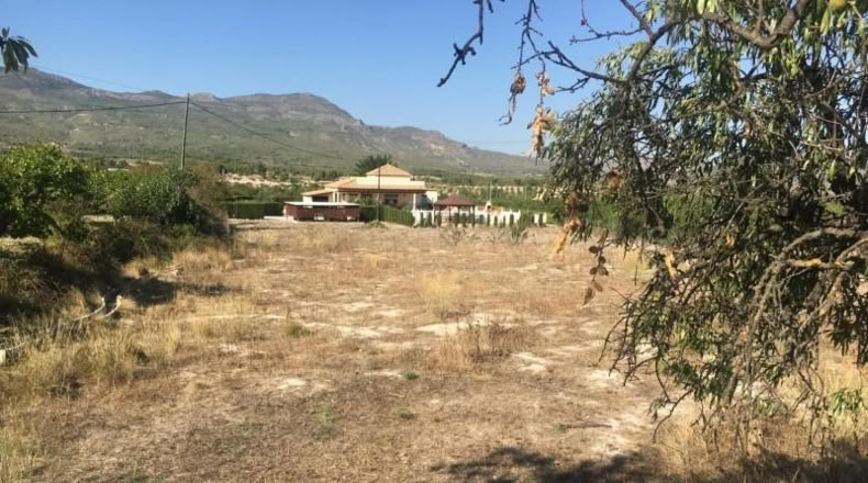 Murcia - Moratalla - 4471m2
