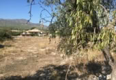 Parcel·la urbanitzable en venda a la España, Moratalla, ref.: TR128746 foto