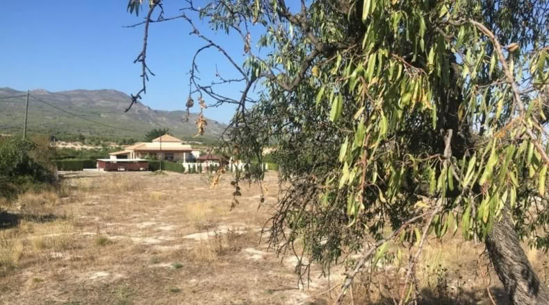 Murcia - Moratalla - 4471m2