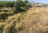 Parcel·la urbanitzable en venda a la España, Moratalla, ref.: TR128746 foto