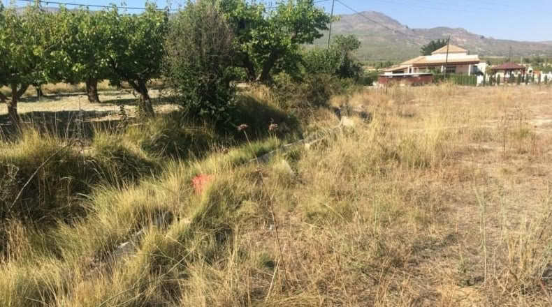 Murcia - Moratalla - 4471m2