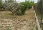 Non-developable land for sale on España, Molina de Segura, ref: TR114506 photo