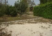Non-developable land for sale on España, Molina de Segura, ref: TR114506 photo