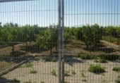 Non-developable land for sale on España, Molina de Segura, ref: TR114506 photo