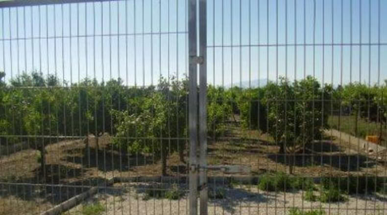 Múrcia - Molina de Segura - 660m2