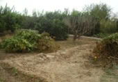 Non-developable land for sale on España, Molina de Segura, ref: TR114506 photo