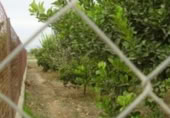 Non-developable land for sale on España, Molina de Segura, ref: TR114506 photo