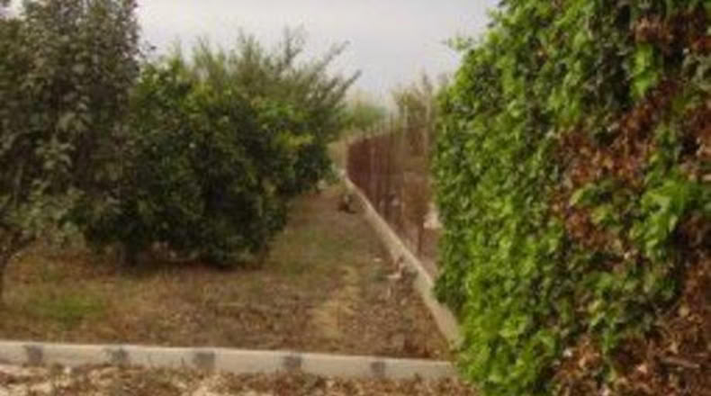Múrcia - Molina de Segura - 660m2