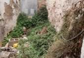 Casa de poble en venda a la España, Berja, ref.: TR301665 foto