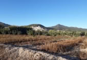 Land suitable for development for sale on España, Moratalla, ref: TR143947 photo