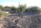 Land suitable for development for sale on España, Moratalla, ref: TR143947 photo