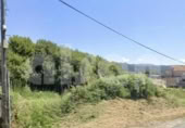 Terreny no urbanitzable en venda a la España, Barro, ref.: TR377844 foto