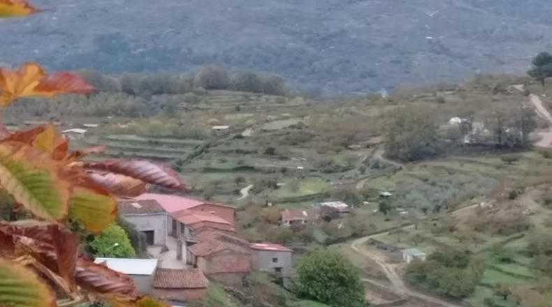 Cáceres - Cabrero - 100m2