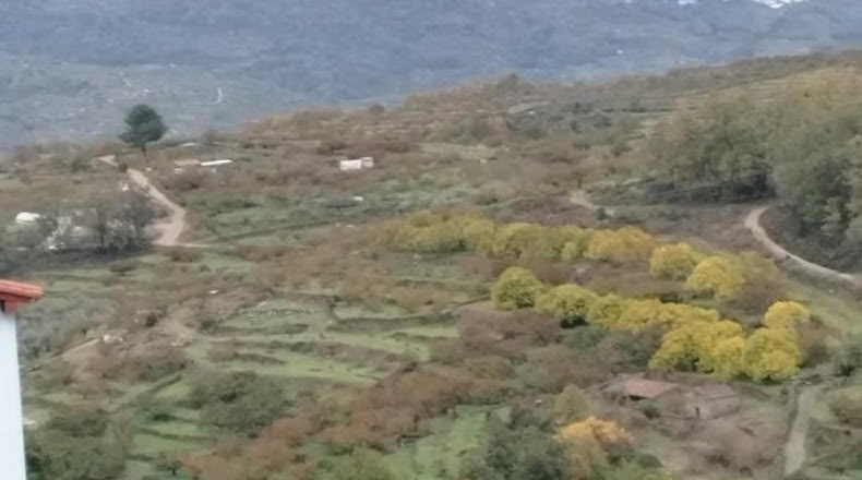 Cáceres - Cabrero - 100m2