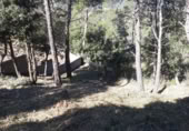 Non-developable land for sale on España, Torrelles de Foix, ref: TR122173 photo