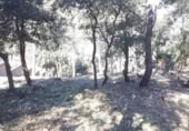 Non-developable land for sale on España, Torrelles de Foix, ref: TR122173 photo