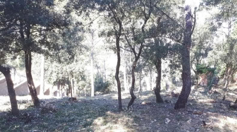 Barcelona - Torrelles de Foix - 1117m2