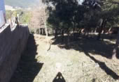 Non-developable land for sale on España, Torrelles de Foix, ref: TR122173 photo
