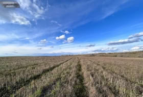 Casarrubios del Monte 29899&nbsp;m² 