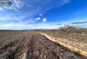 Casarrubios del Monte 29899&nbsp;m² 