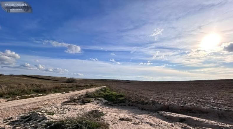 Toledo - Casarrubios del Monte - 29899m2