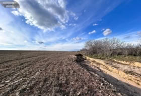 Casarrubios del Monte 29899&nbsp;m² 