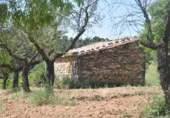 Xalet independent amb terreny en venda a la España, Queretes, ref.: TR301876 foto