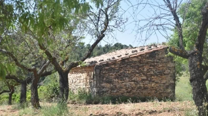 Теруэль - Cretas - 30300m2