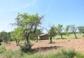 Xalet independent amb terreny en venda a la España, Queretes, ref.: TR301876 foto