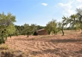 Xalet independent amb terreny en venda a la España, Queretes, ref.: TR301876 foto