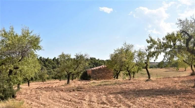 Теруэль - Cretas - 30300m2