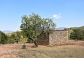 Xalet independent amb terreny en venda a la España, Queretes, ref.: TR301876 foto