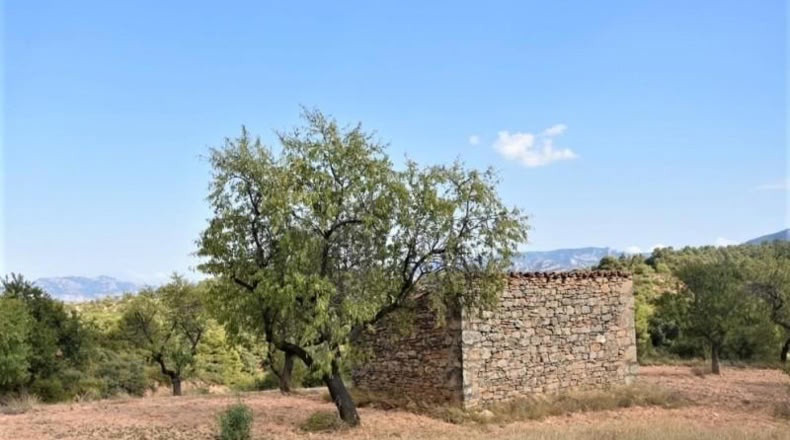 Теруэль - Cretas - 30300m2